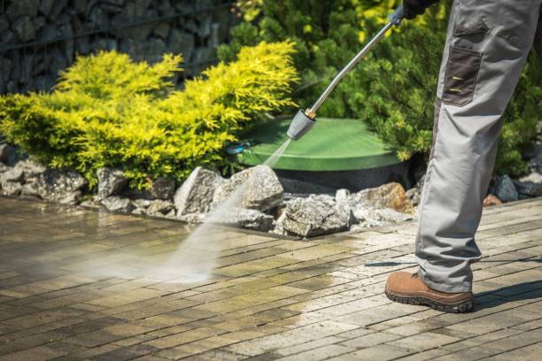 Trusted Ely, IA Pressure Washing Services Experts