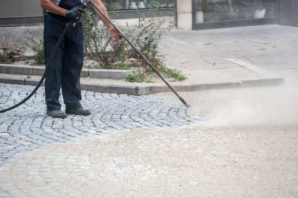 Best Sidewalk and Walkway Pressure Cleaning in Ely, IA
