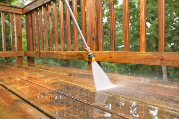 Best Building Exterior Pressure Washing in Ely, IA